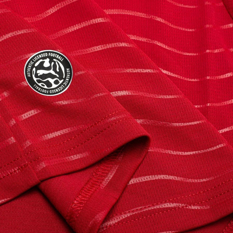 Portugal World Cup 2026 Home Replica Long Sleeve Jersey Adults